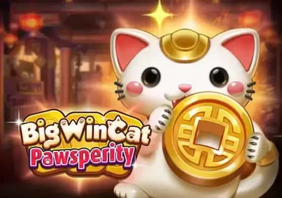 Big Win Cat